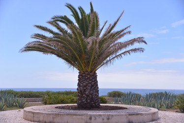 Similar image 21329129