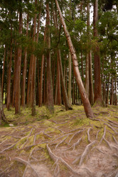 Similar image 21329132