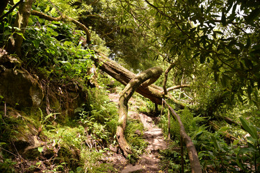 Similar image 21329134