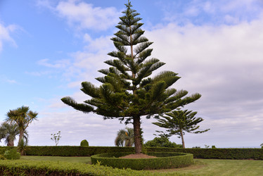 Similar image 21329136