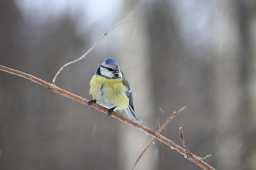 Similar image 21337545