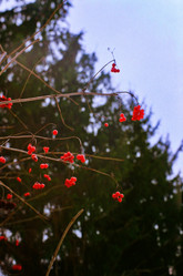 Similar image 21329140