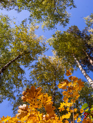 Similar image 21331994