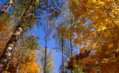 Similar image 21331995