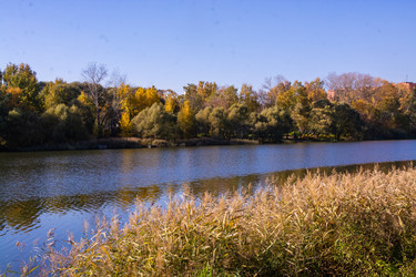 Similar image 21331997