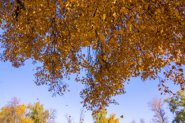 Similar image 21332186