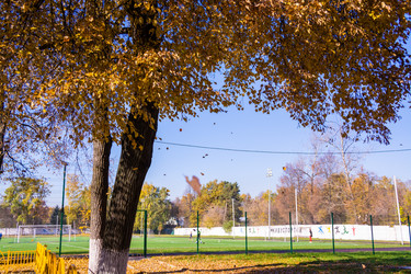 Similar image 21336419