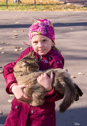 Similar image 21332189