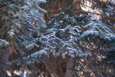 Similar image 21334941