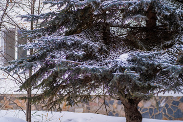 Similar image 21334943