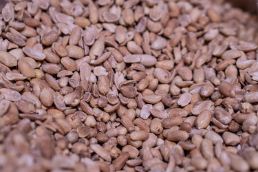 Similar image 21334946