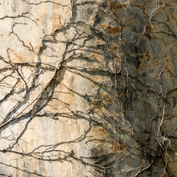 Similar image 21329154