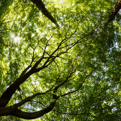 Similar image 21329155