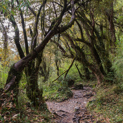 Similar image 21329156