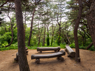 Similar image 21329157