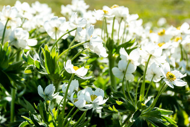 Similar image 21329162