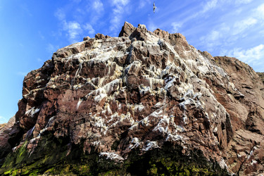 Similar image 21329169