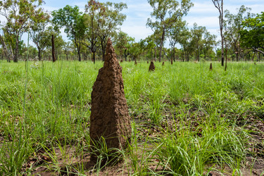 Similar image 21329174