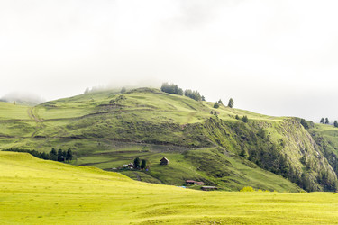 Similar image 21329181