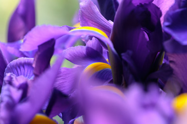 Similar image 21329185