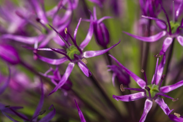 Similar image 21329186