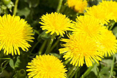 Similar image 21329188