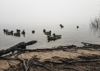 Similar image 21329193