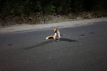 Similar image 21331569