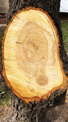 Similar image 21331570