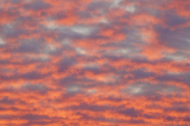 Similar image 21331572