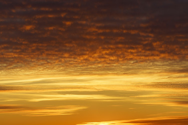 Similar image 21331574