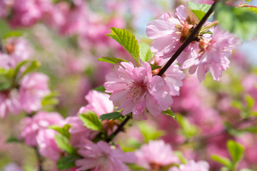 Similar image 21331581