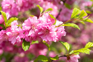 Similar image 21331582