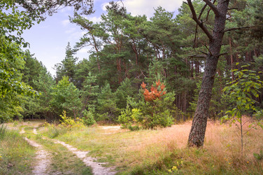 Similar image 21329389