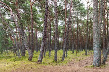 Similar image 21329390