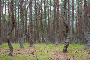 Similar image 21329391