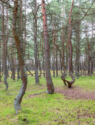 Similar image 21329392