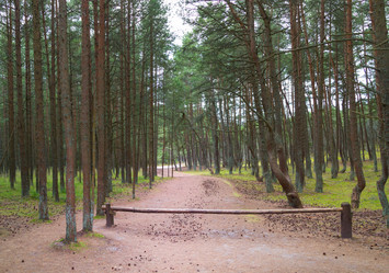 Similar image 21329394