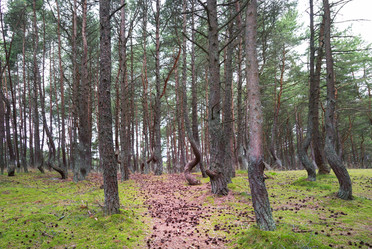 Similar image 21329395