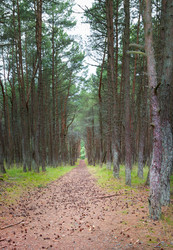 Similar image 21329396