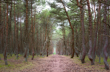 Similar image 21329397