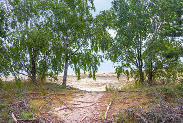 Similar image 21329398