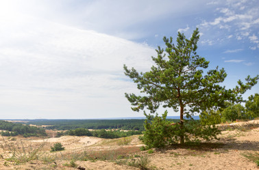 Similar image 21329399