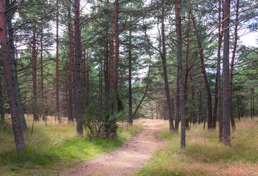 Similar image 21329400