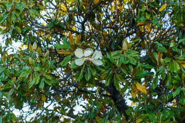 Similar image 21333031