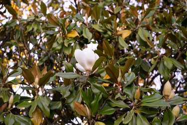 Similar image 21333032