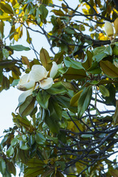 Similar image 21333033