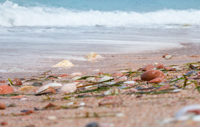 Similar image 21329210