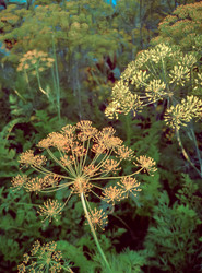 Similar image 21336191