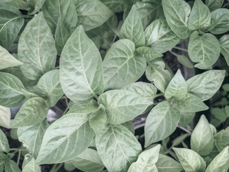 Similar image 21336192